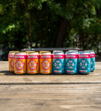 Pack Beer Style Lover