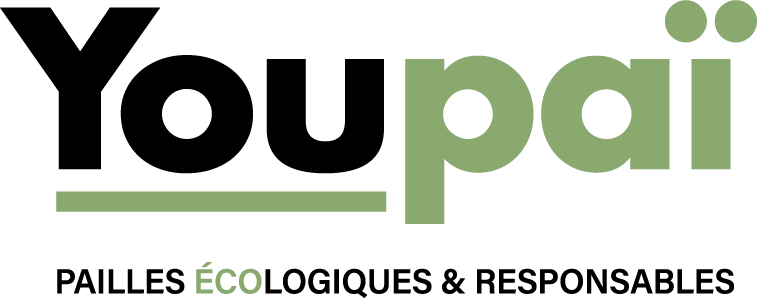 logo youpai